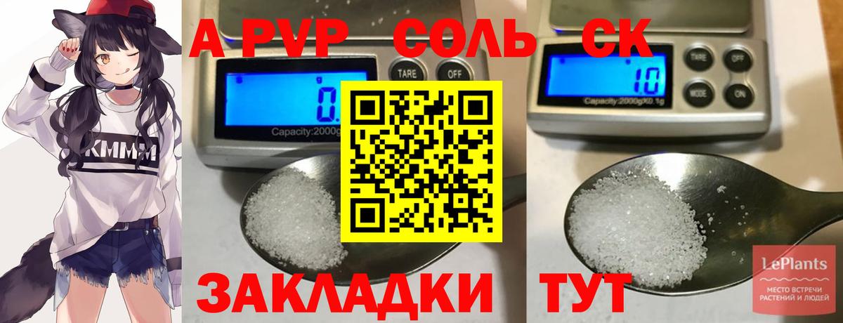 Альфа ПВП  Alfa_PVP СК КРИС  Петровск  Вход с VPN  A PVP Соль 