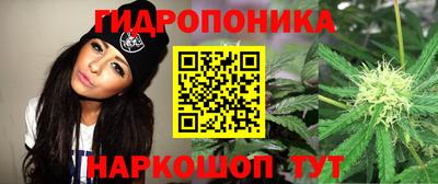 мескалин Гатчина
