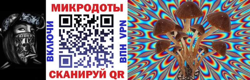Псилоцибиновые грибы мицелий  мориарти телеграм  Петровск 