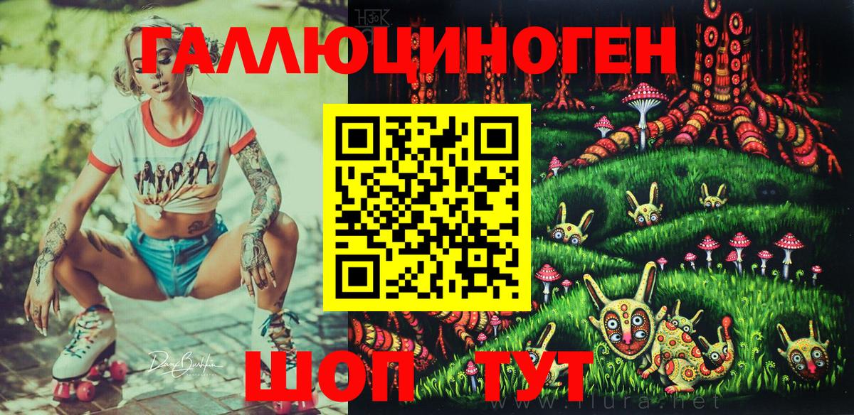 Петровск  цены наркотик  Вход с VPN  Галлюциногенные грибы мицелий  Галлюциногенные грибы Psilocybe 