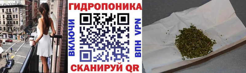 Канабис сатива Петровск